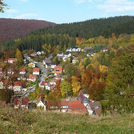 Pension Rheingold Garni Bad Grund Buitenkant foto