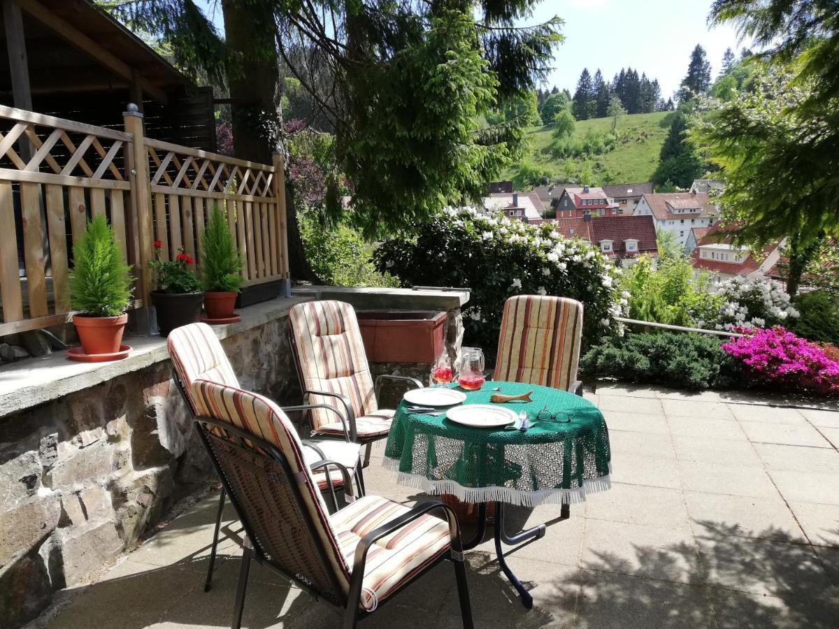 Pension Rheingold Garni Bad Grund Buitenkant foto