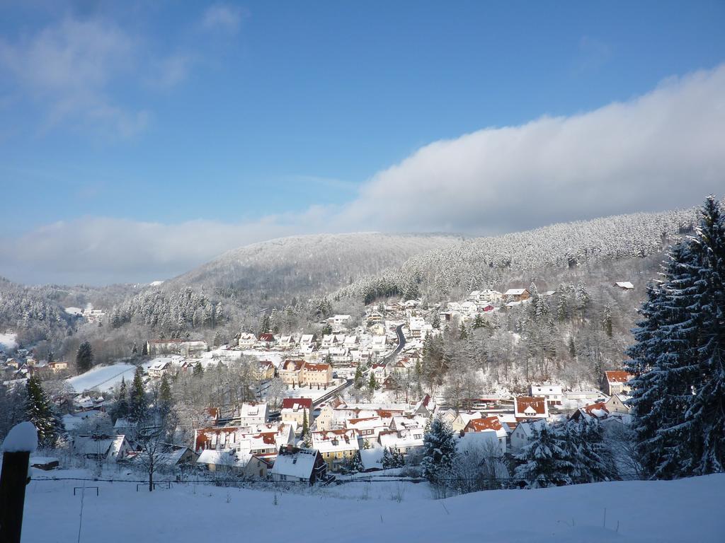 Pension Rheingold Garni Bad Grund Buitenkant foto