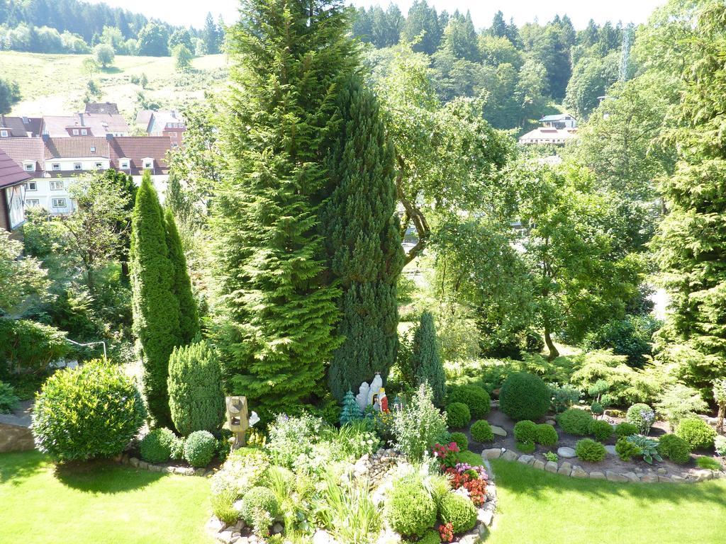 Pension Rheingold Garni Bad Grund Buitenkant foto