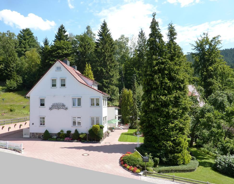 Pension Rheingold Garni Bad Grund Buitenkant foto