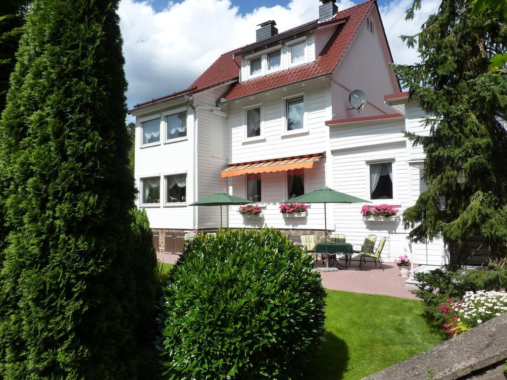 Pension Rheingold Garni Bad Grund Buitenkant foto