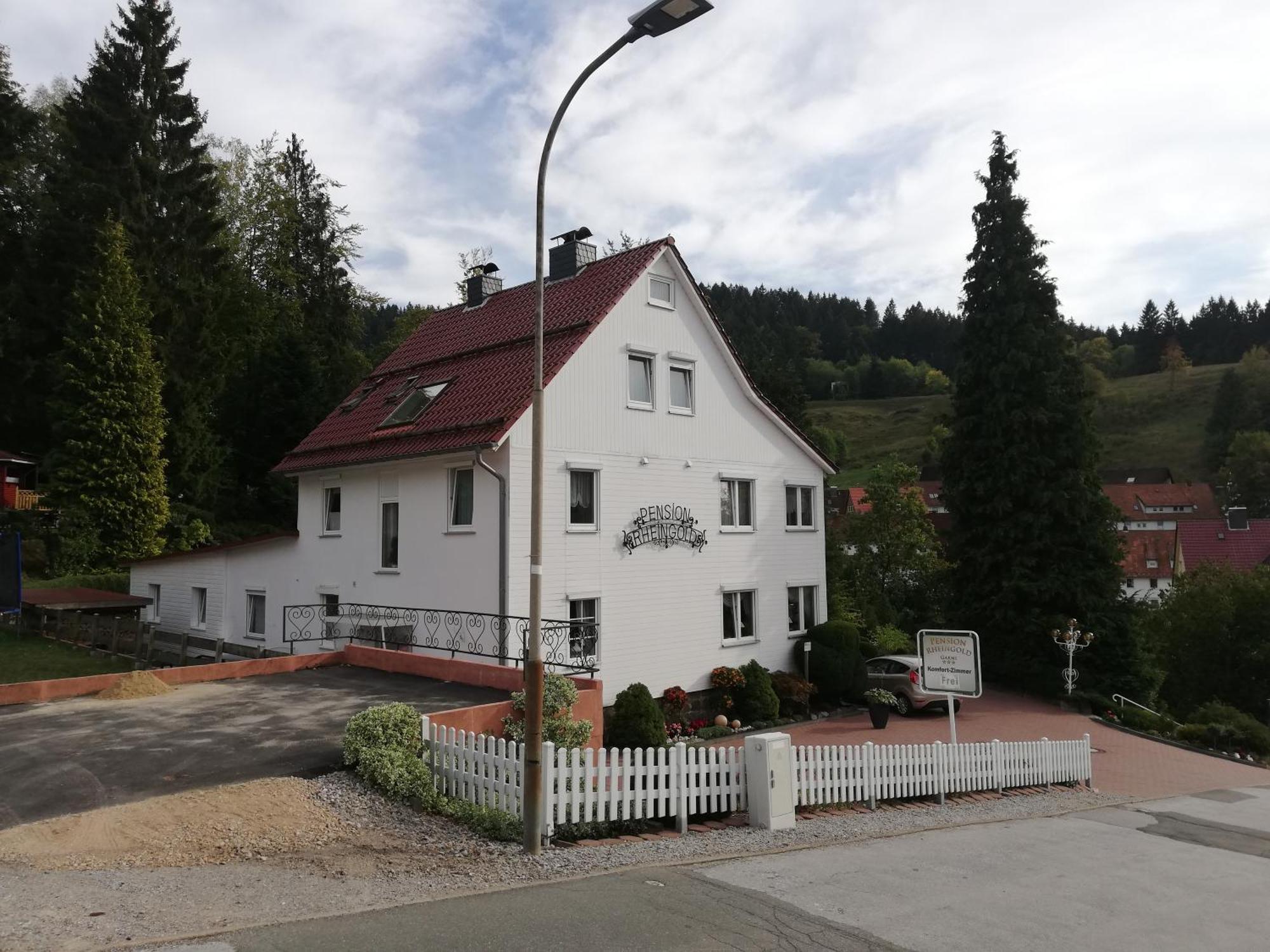 Pension Rheingold Garni Bad Grund Buitenkant foto