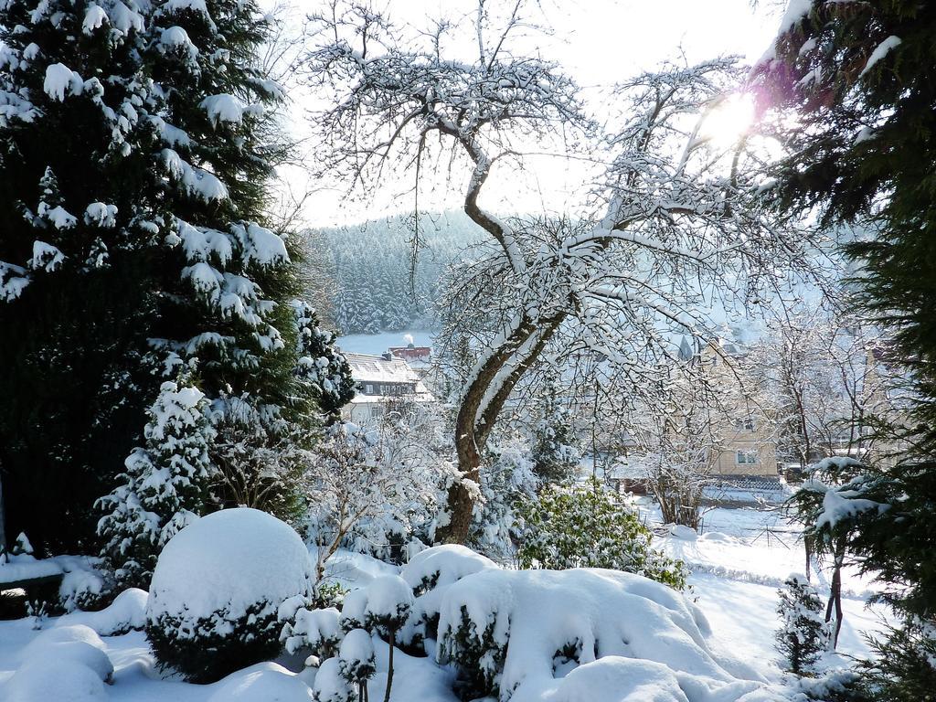 Pension Rheingold Garni Bad Grund Buitenkant foto
