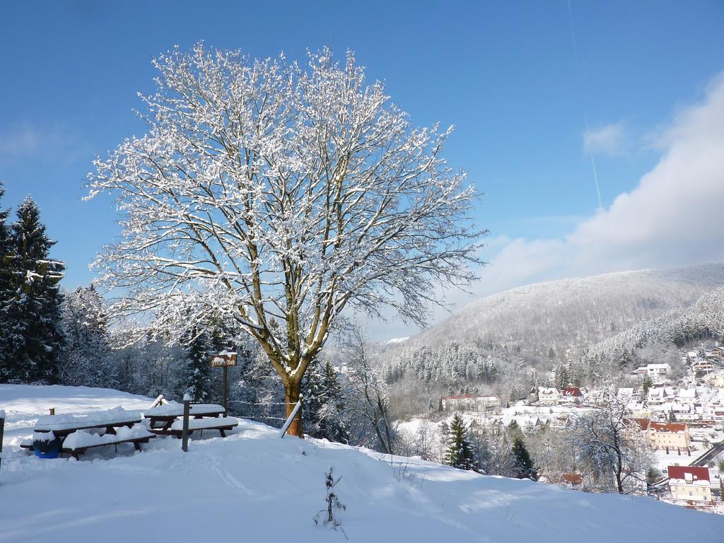 Pension Rheingold Garni Bad Grund Buitenkant foto