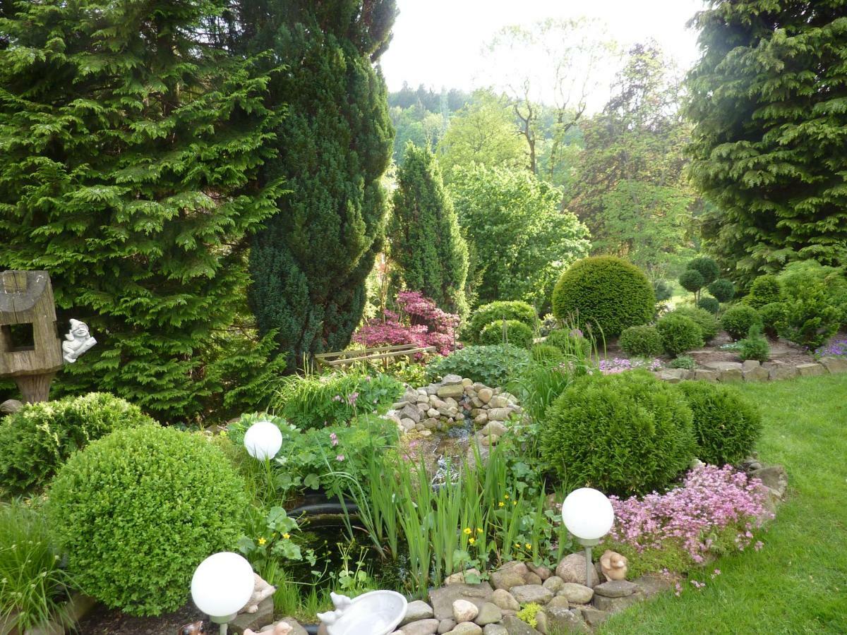 Pension Rheingold Garni Bad Grund Buitenkant foto