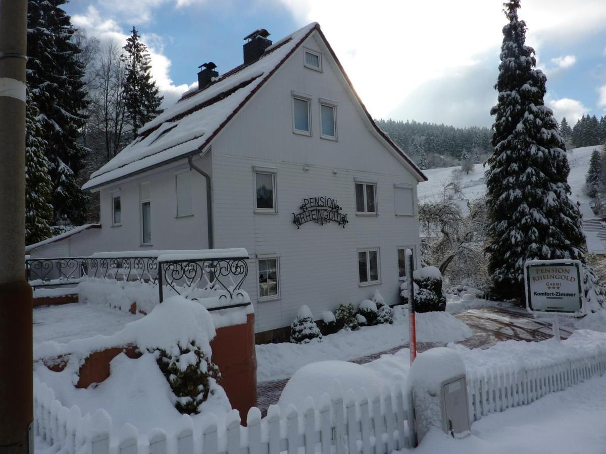 Pension Rheingold Garni Bad Grund Buitenkant foto